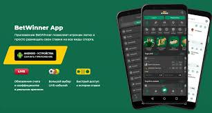 Discovering the BetWinner Bookmaker A Comprehensive Review